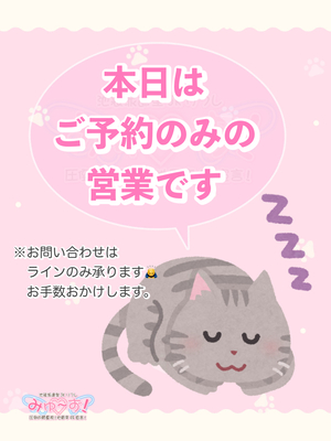 さんの写真